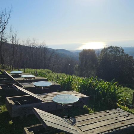 Domaine Colonna-Santini, Gite Piscine, Sauna, Spa Porri Zewnętrze zdjęcie