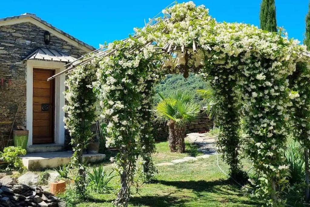 Domaine Colonna-Santini, Gite Piscine, Sauna, Spa Porri Zewnętrze zdjęcie